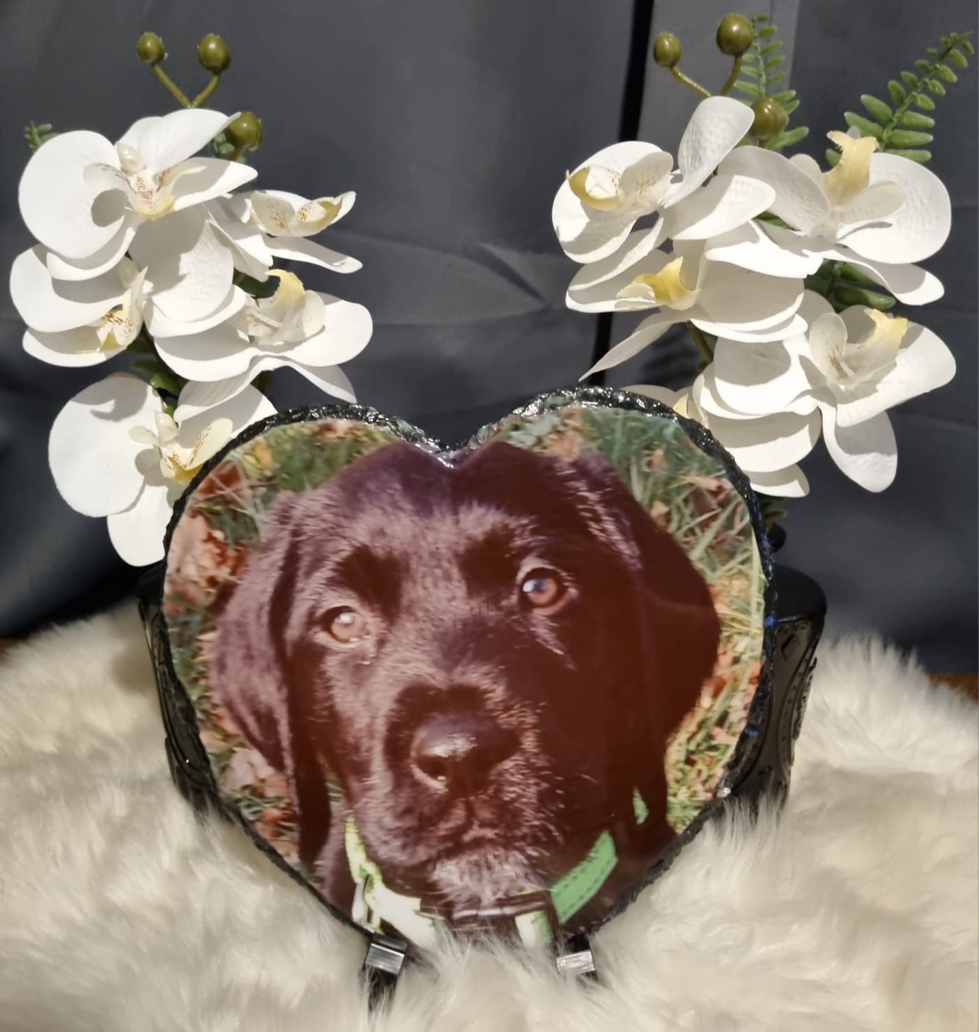 Een hart met daarop een afbeelding van een hond