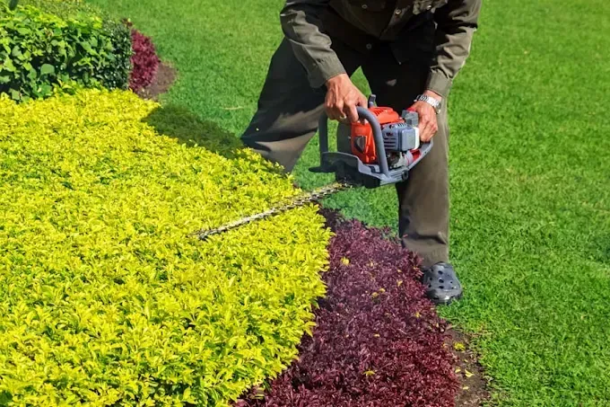 giardini personalizzati