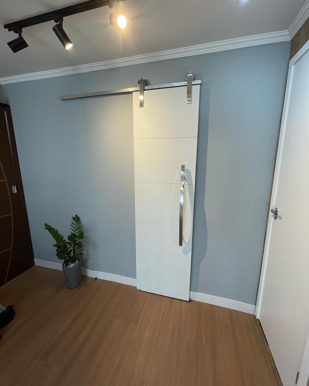 Uma sala com uma porta de correr tipo celeiro e uma planta em vaso