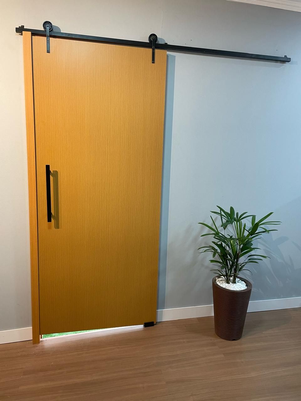 Uma porta de celeiro deslizante com uma planta na frente