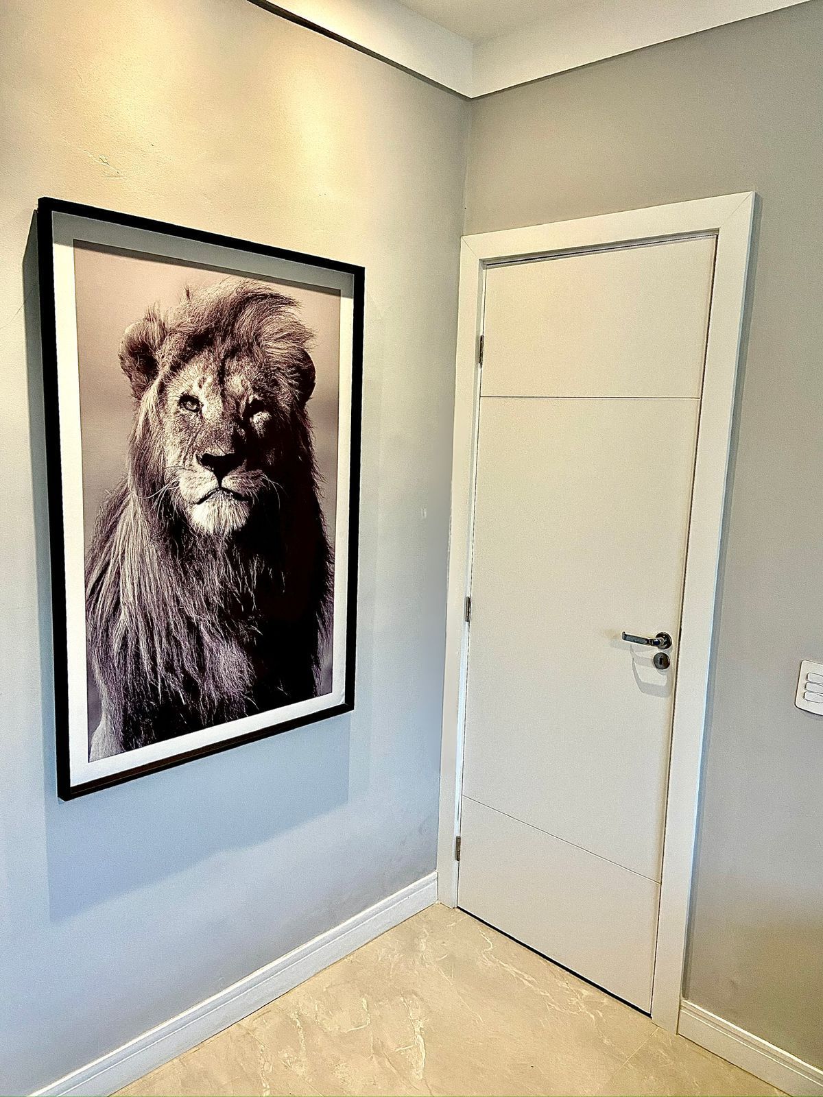 Há uma imagem de um leão na parede ao lado de uma porta.