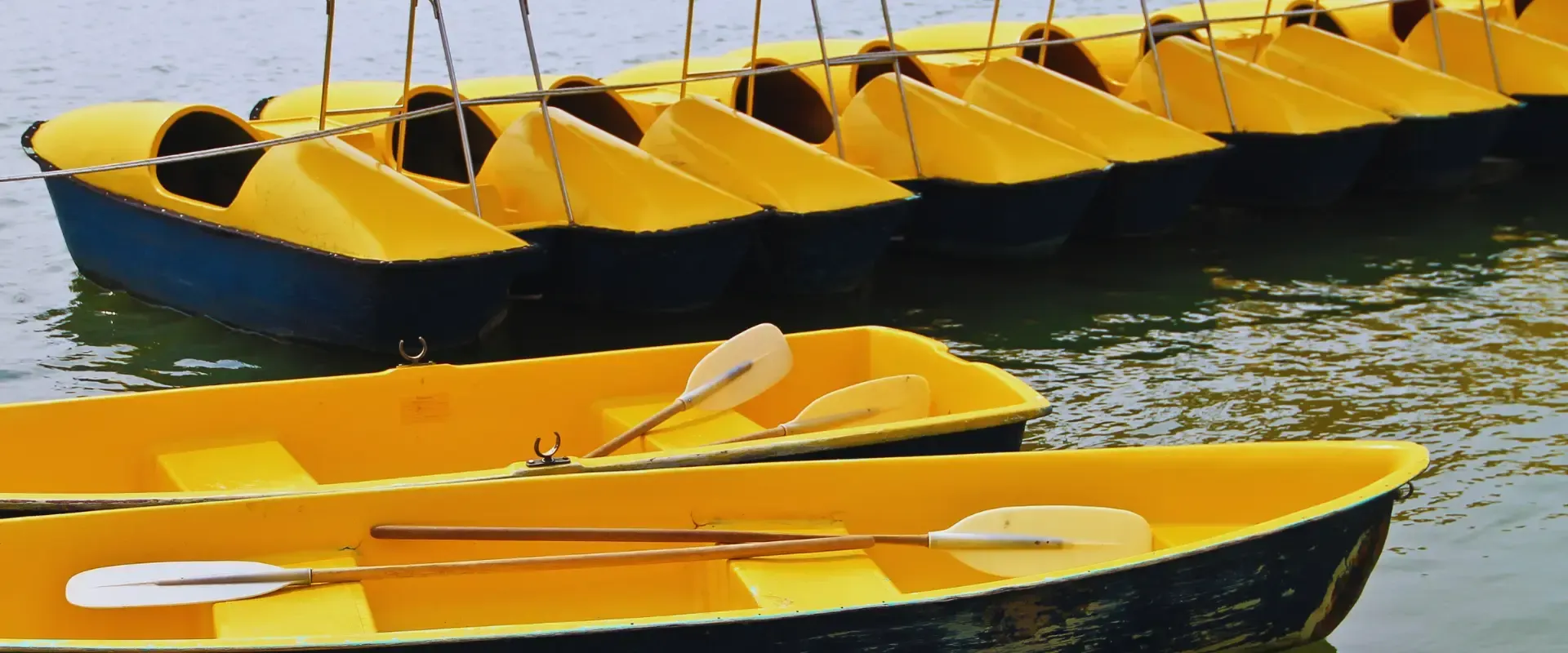 yellow boats lined up