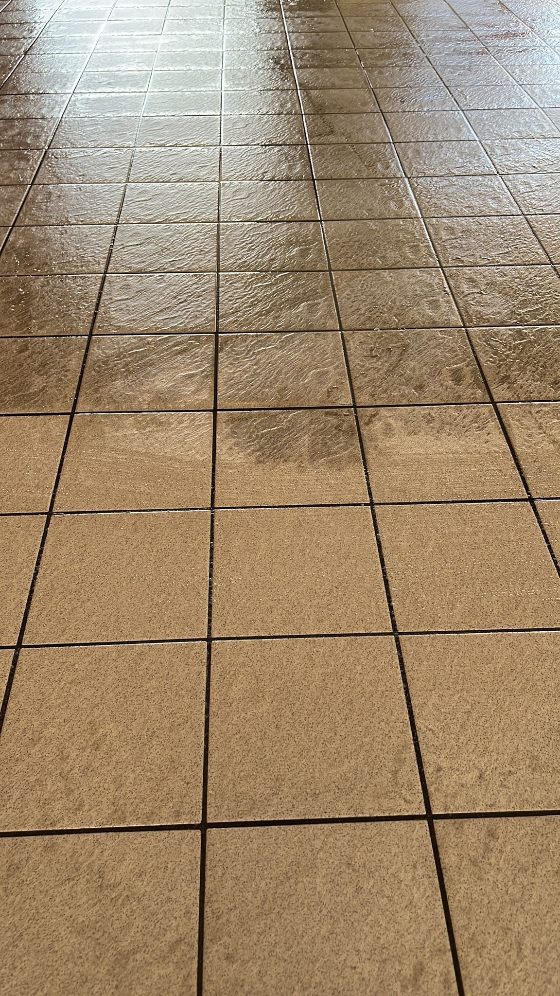 Disinfestazioni e derattizzazioni