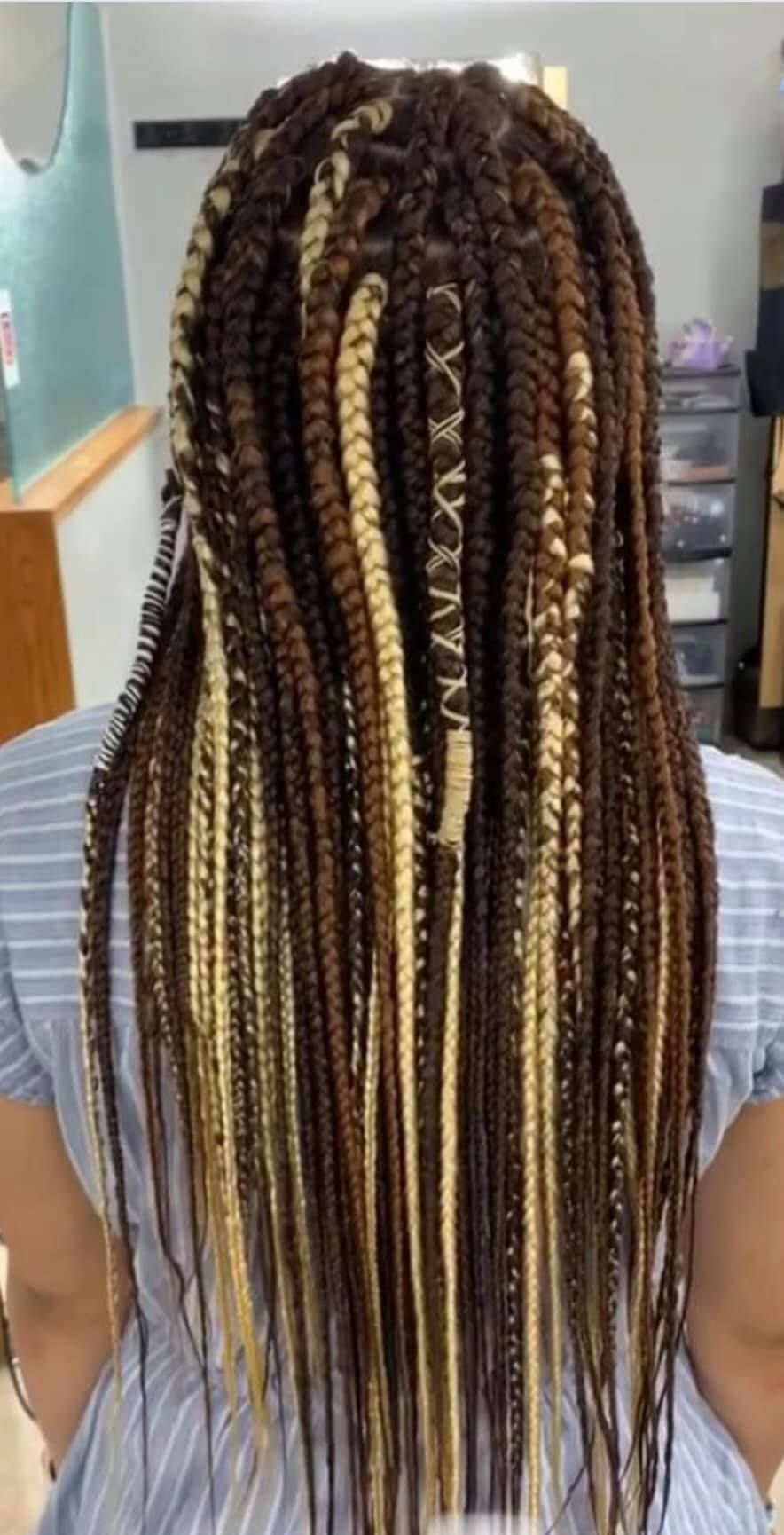 Long box braids with varying shades of brown and blonde, hanging down the back.