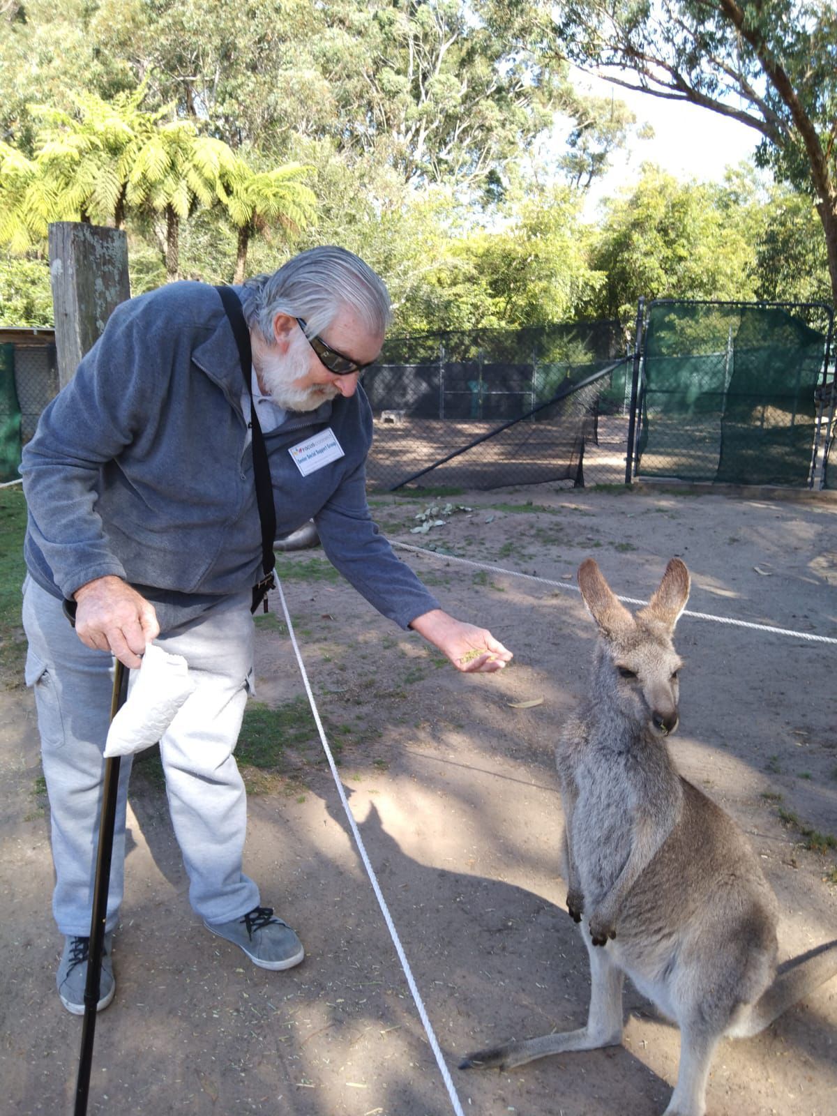 Sonny with a cane is feeding a kangaroo