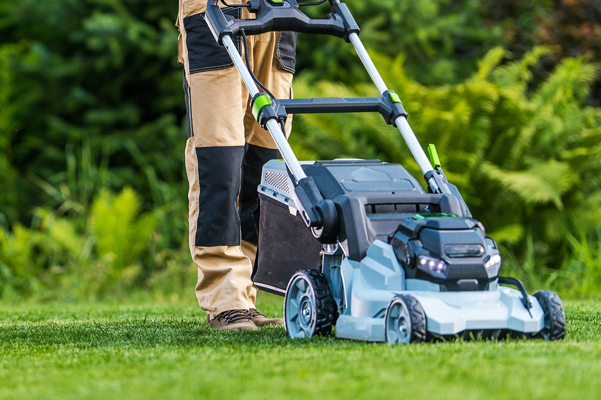 a person is using a lawn mower on a lush green lawn