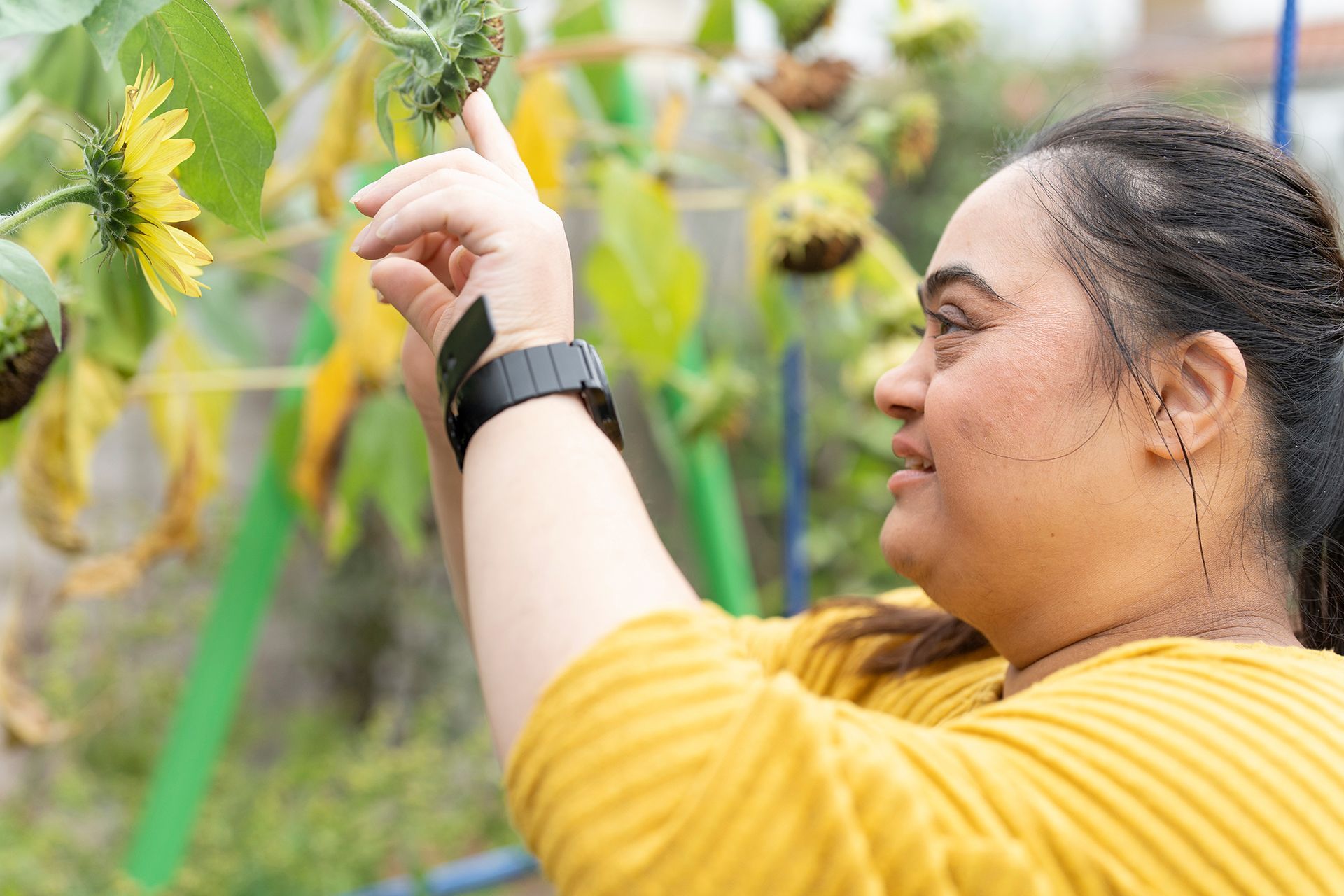 a woman in a yellow shirt is picking a sunflower from a plant