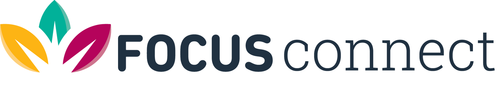FOCUS Connect logo