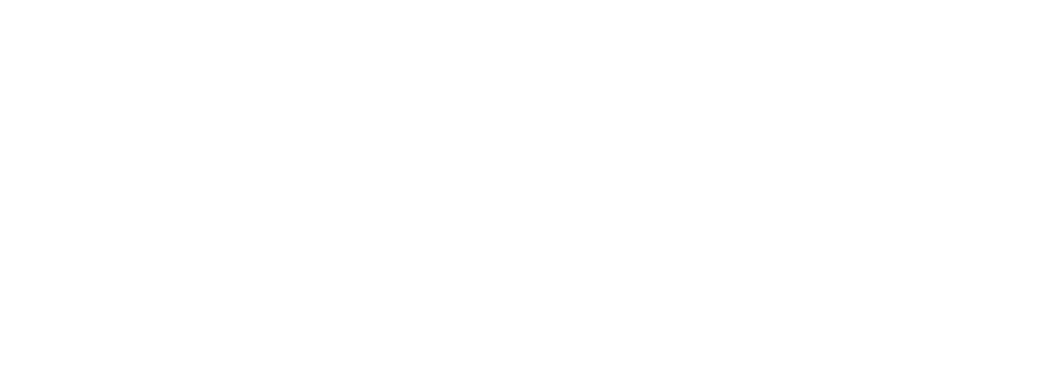 Perpetual Homes Logo