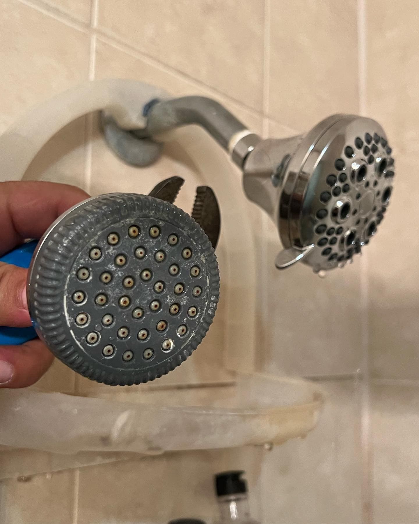 A person is holding a shower head in their hand.