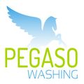PEGASO WASHING AUTOLAVAGGIO A DOMICILIO - LOGO