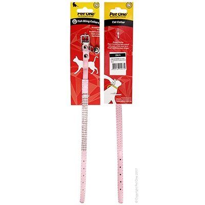 Dog and Cat Accessories