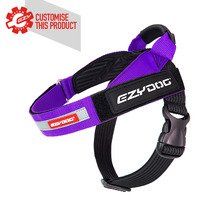 Dog and Cat Accessories