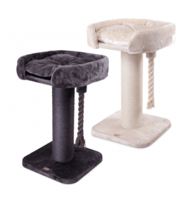 Dog and Cat Accessories