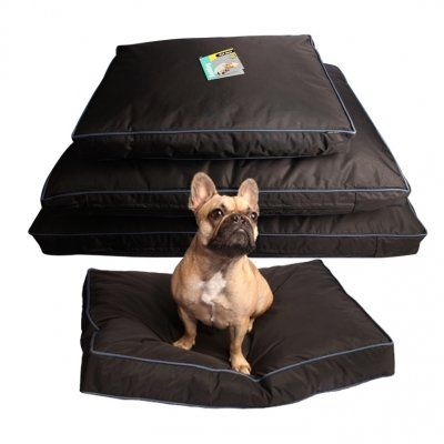 Dog and Cat Accessories