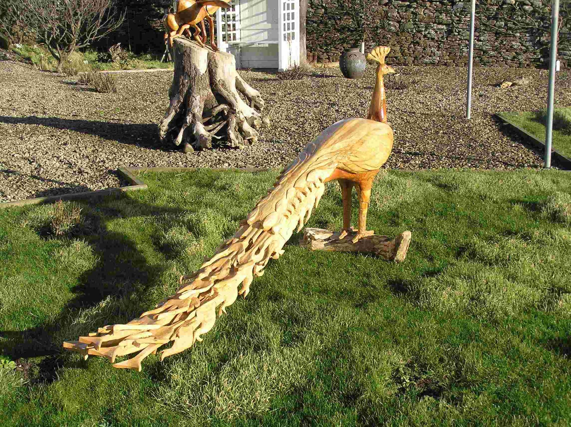 A life size wooden garden sculpture of a peacock made by Ingrained Culture