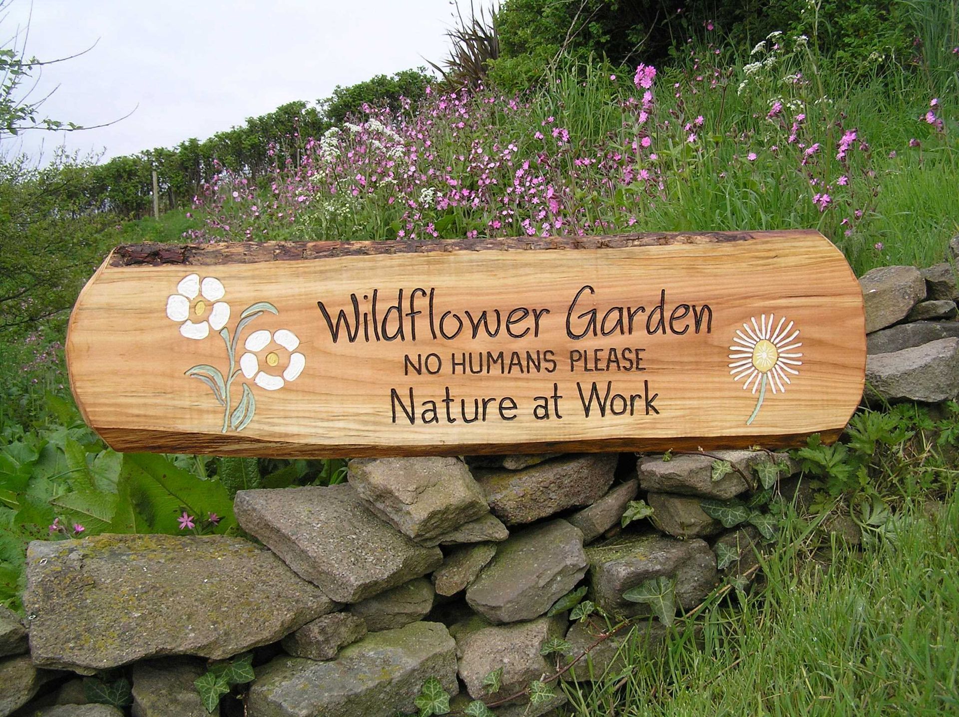 Handmade woden sign for Garden rewilding