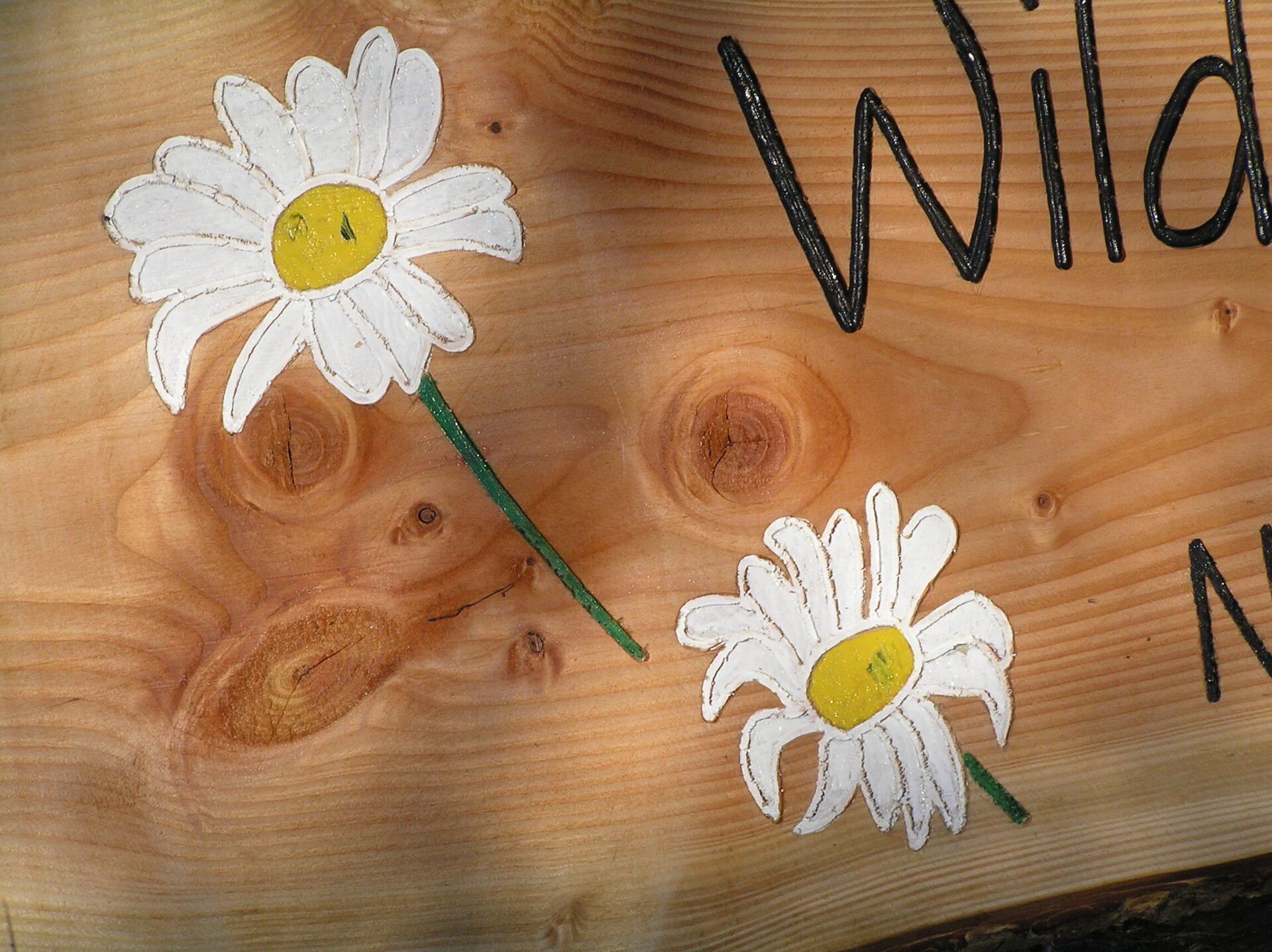 UK hand painted eco daisy sign