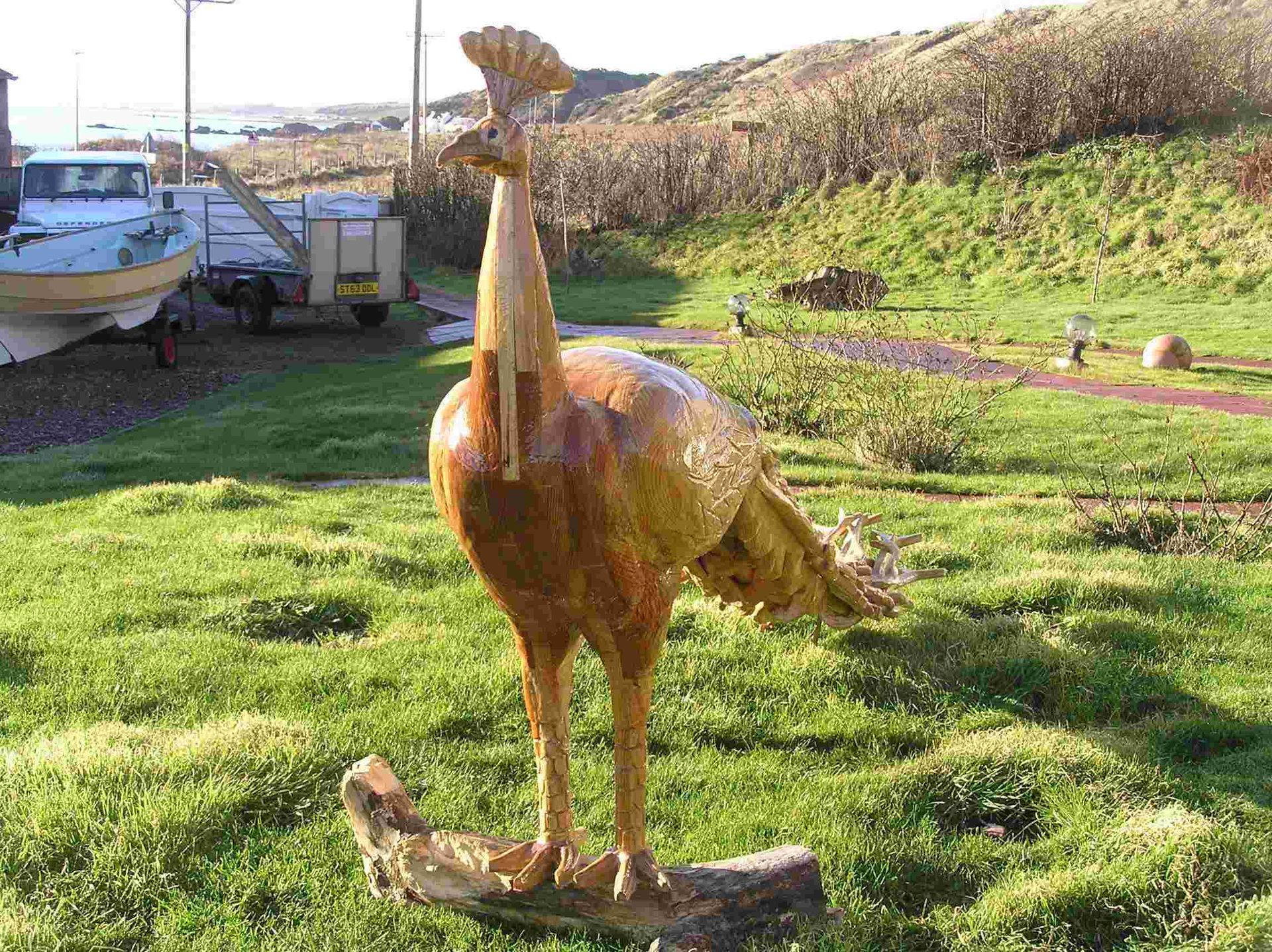 front view of a wooden garden sculpture of a peacock made by Ingrained Culture