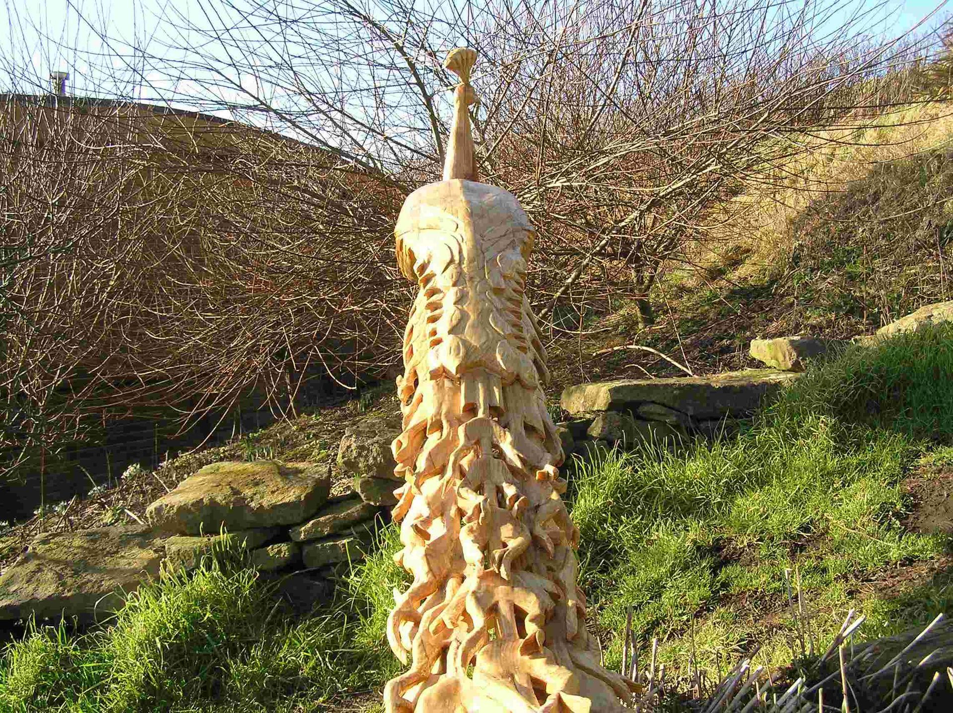 A life size  garden sculpture  of a  peacock made by Ingrained Culture