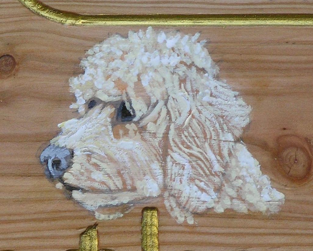 Hand painted pet portrait of a Labradoodle.