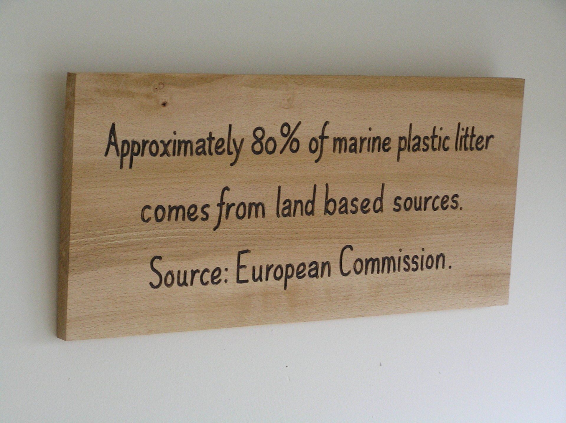 Wooden wall hung EWco-friendly sign