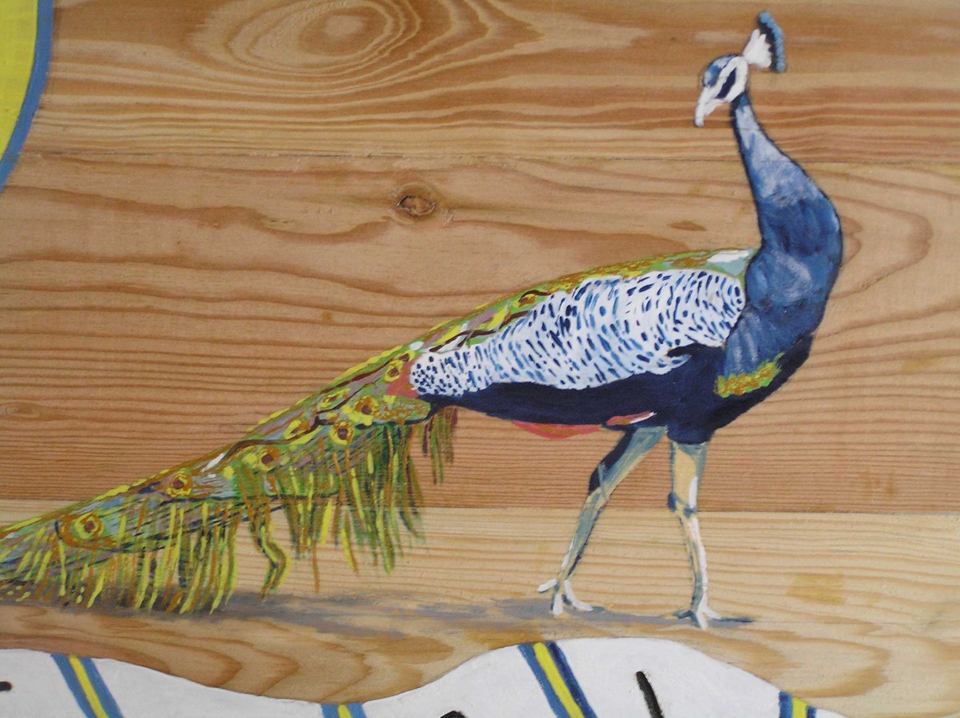 A hand painted image of a colourful peacock by Robert of Ingrained Culture