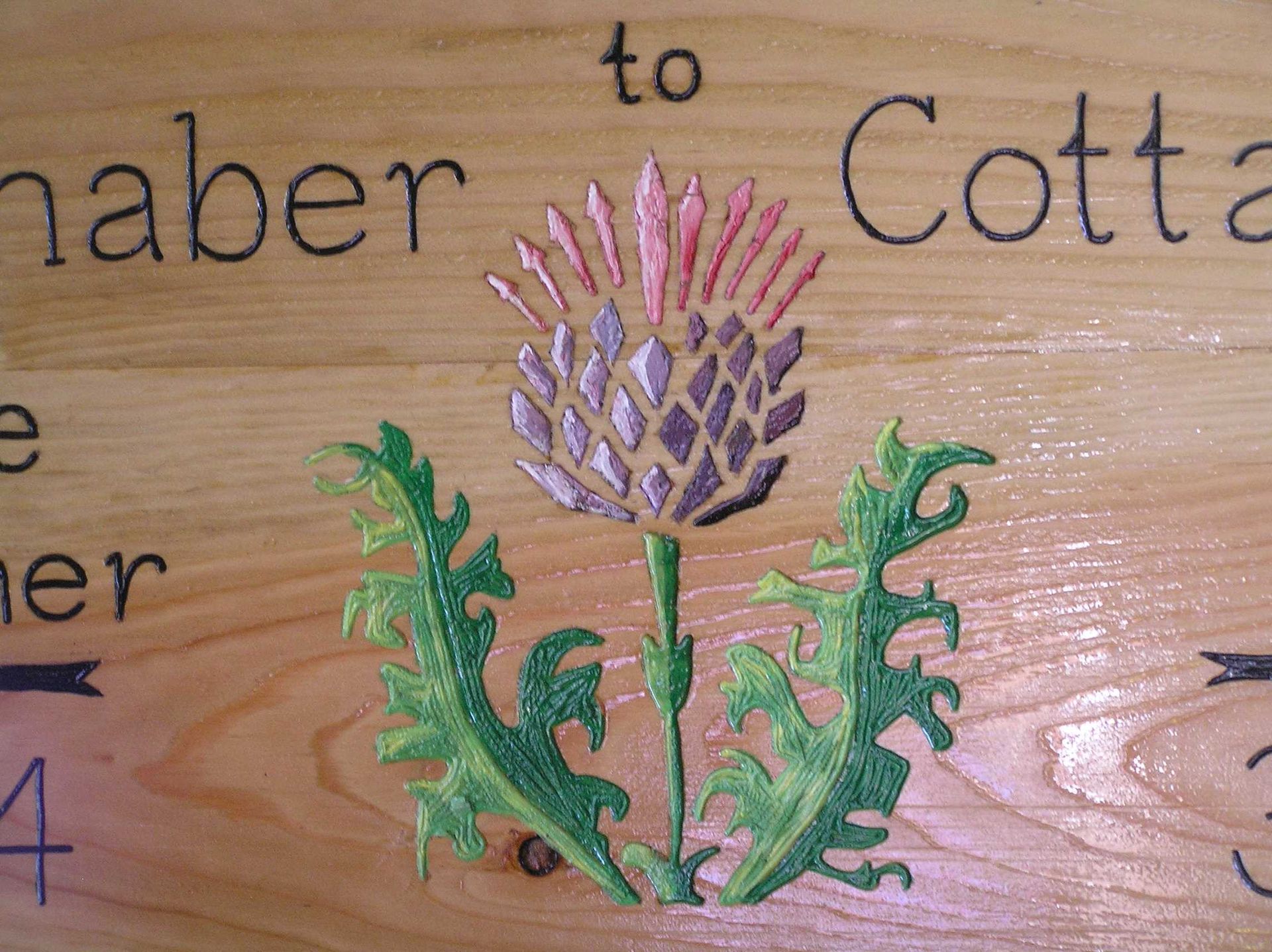 Hand painted image of a Scottish thistle by Ingrained Culture