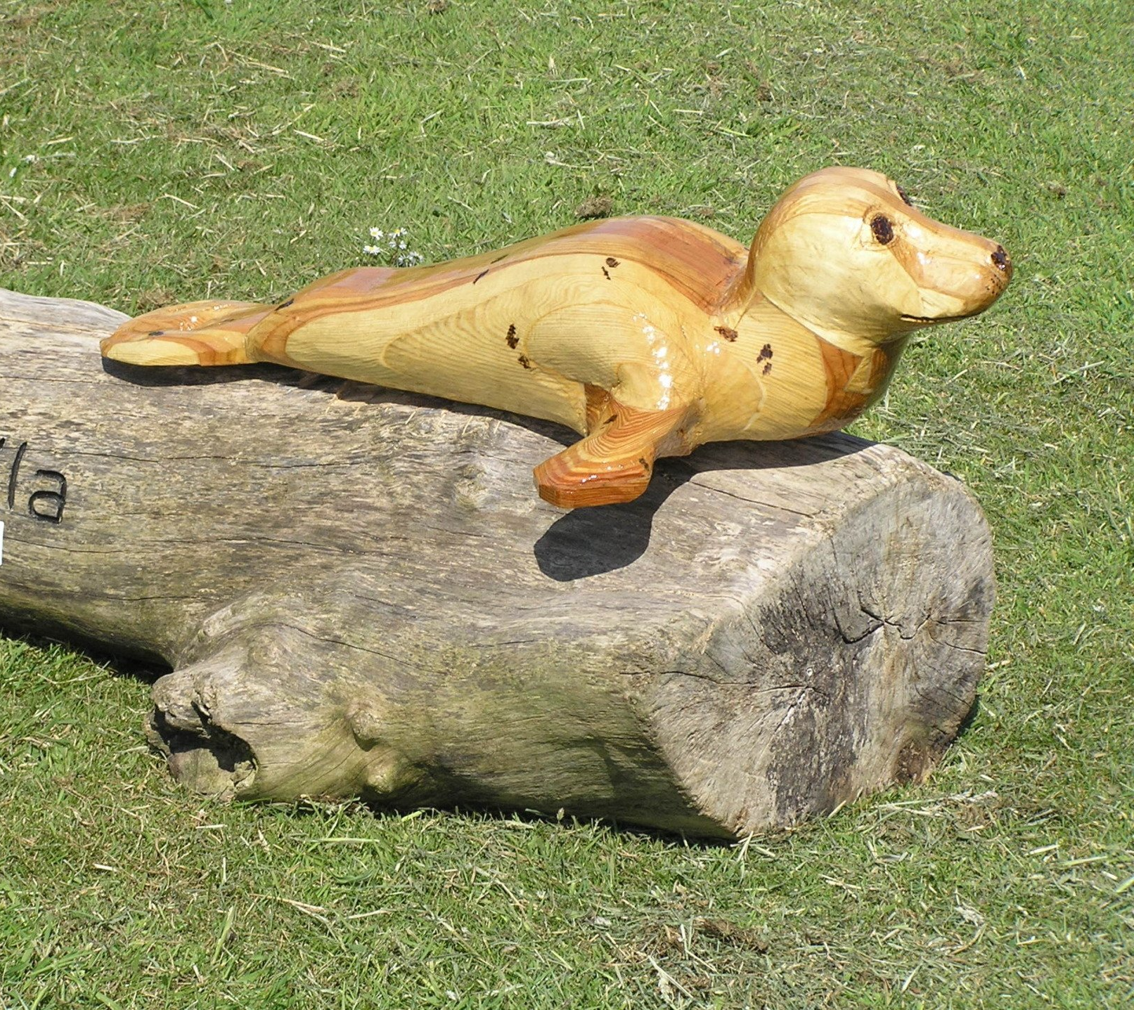 Life size wooden sculpture of a seal pup