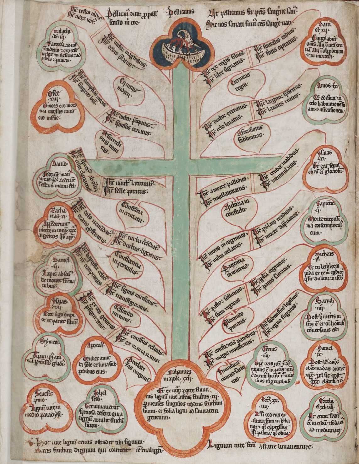 Image of the tree of life