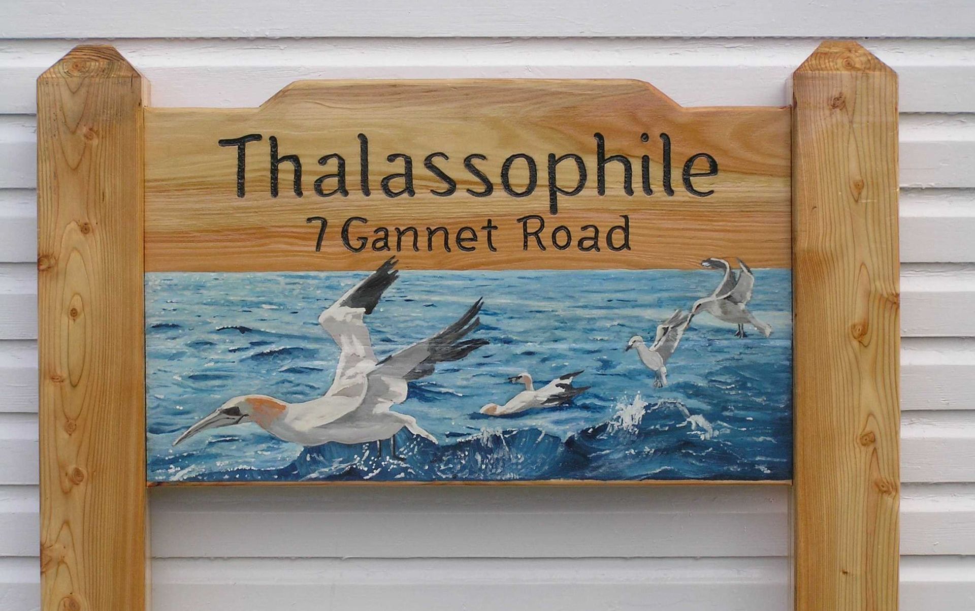 Hand painted full colour illustrated Eco sign made by Ingrained Culture