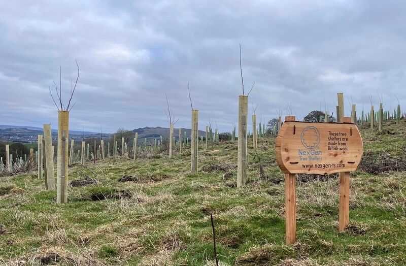 A wooden conservation sign made by Ingrained Culture