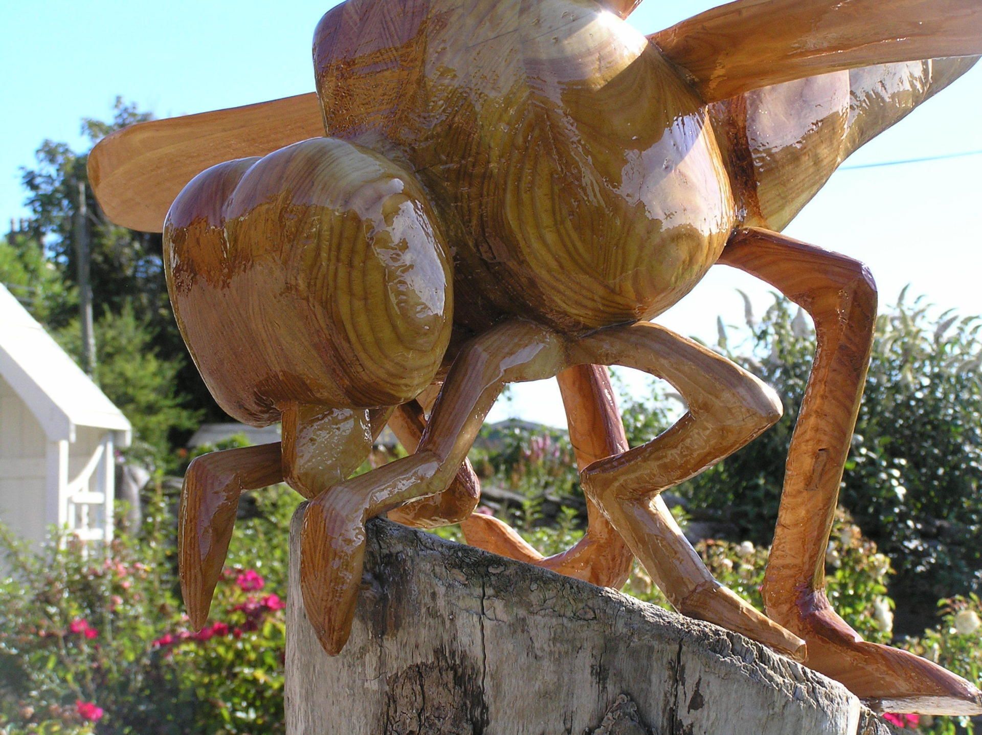 Giant wooden insect garden sculpture by Ingrained Culture