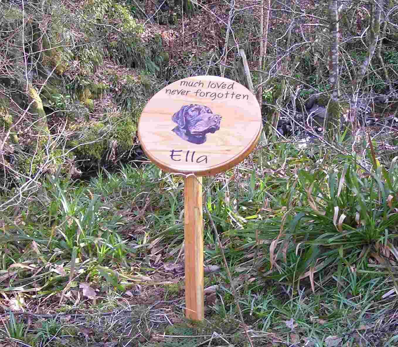 A wooden pet memorial plaque in a peaceful woodland setting, made by Robert Ingrained Culture.