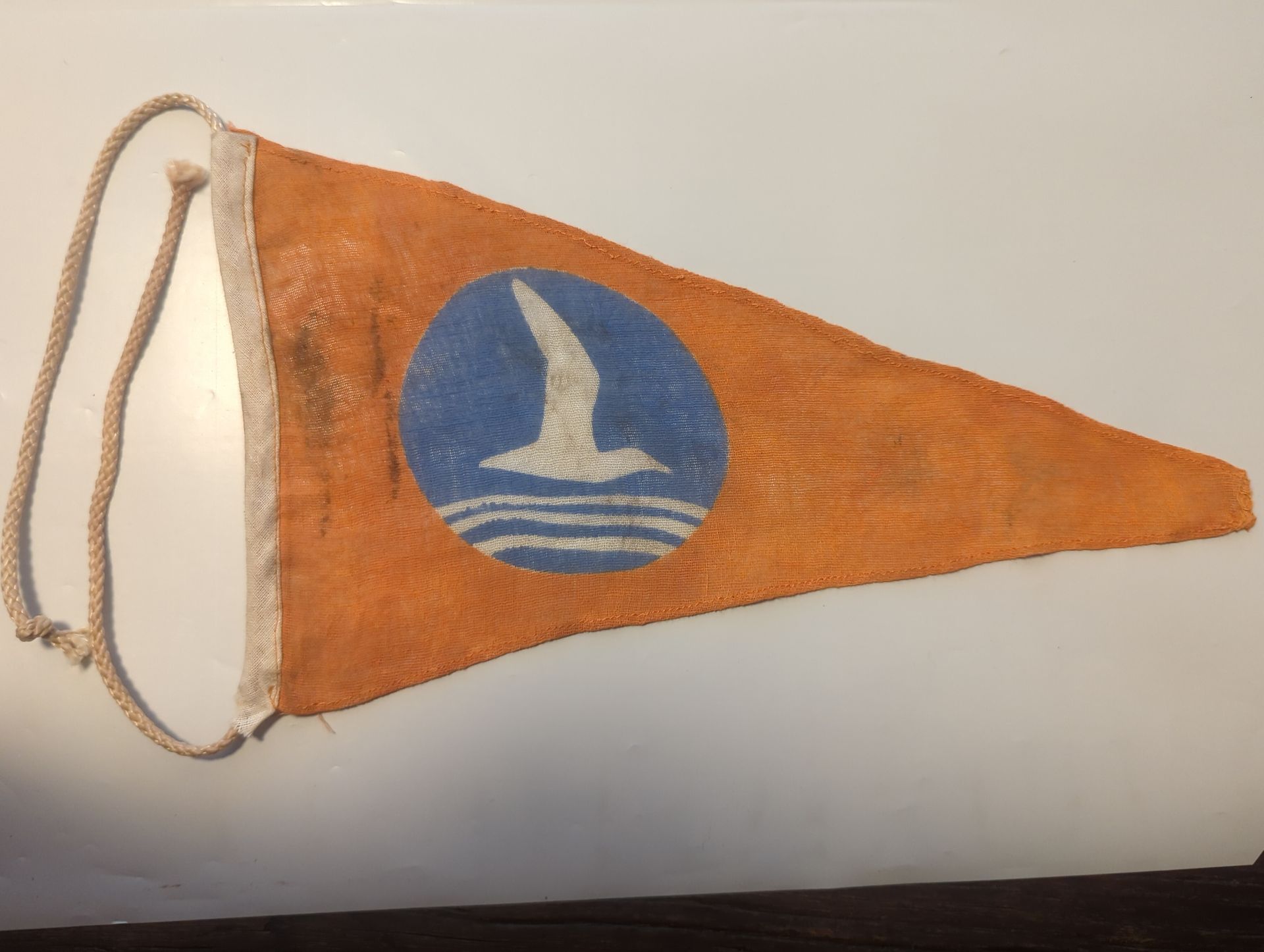Jeugdstorm pennant