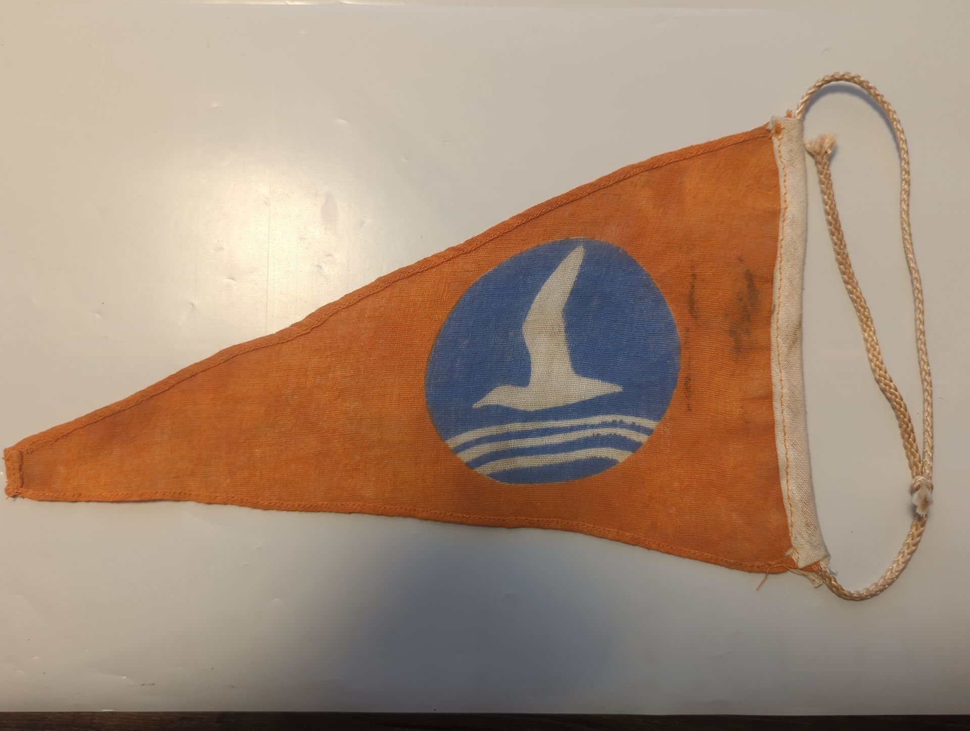 Jeugdstorm pennant