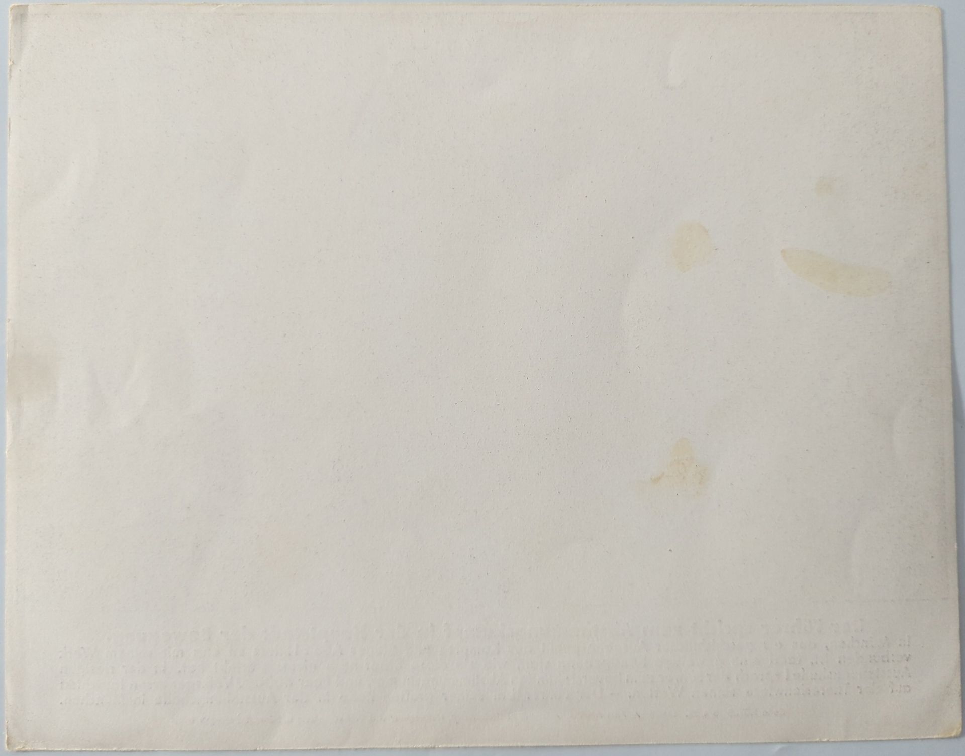 Originele gedrukte fotoafbeelding – “Der Führer vor seiner Alten Garde”, 1936