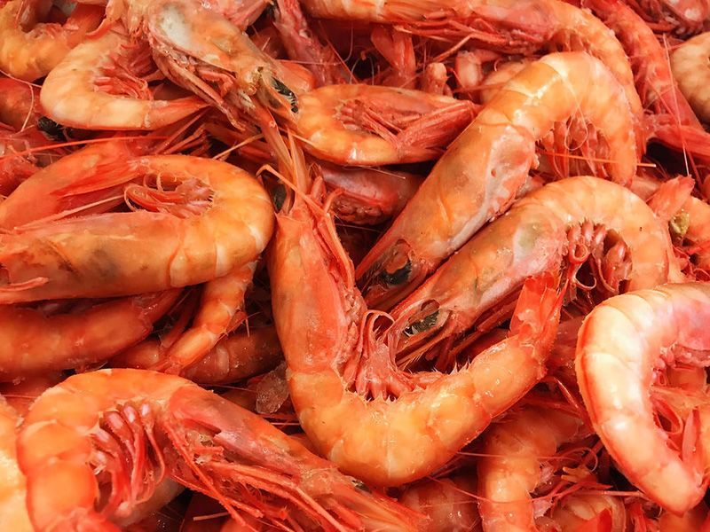 cooked shrimp