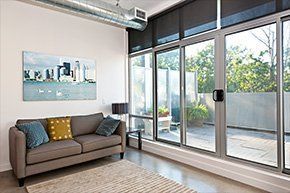 A living room with a couch , rug , and large windows.