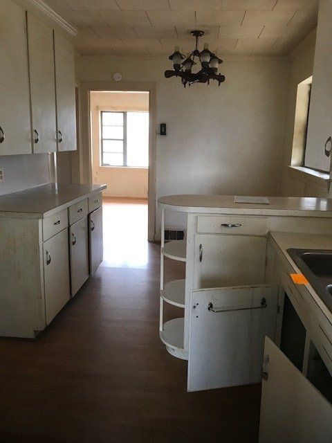 carpet cleaning in progress