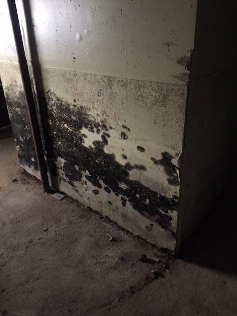 window being cleaned by professional