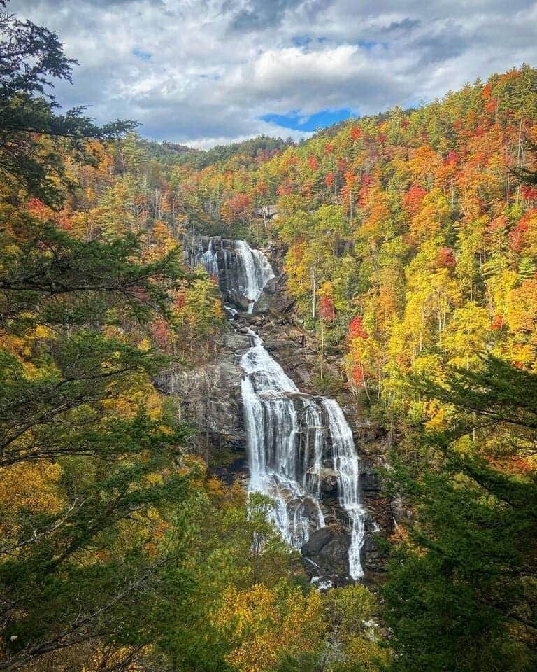 There is a waterfall in the middle of a forest surrounded by trees.