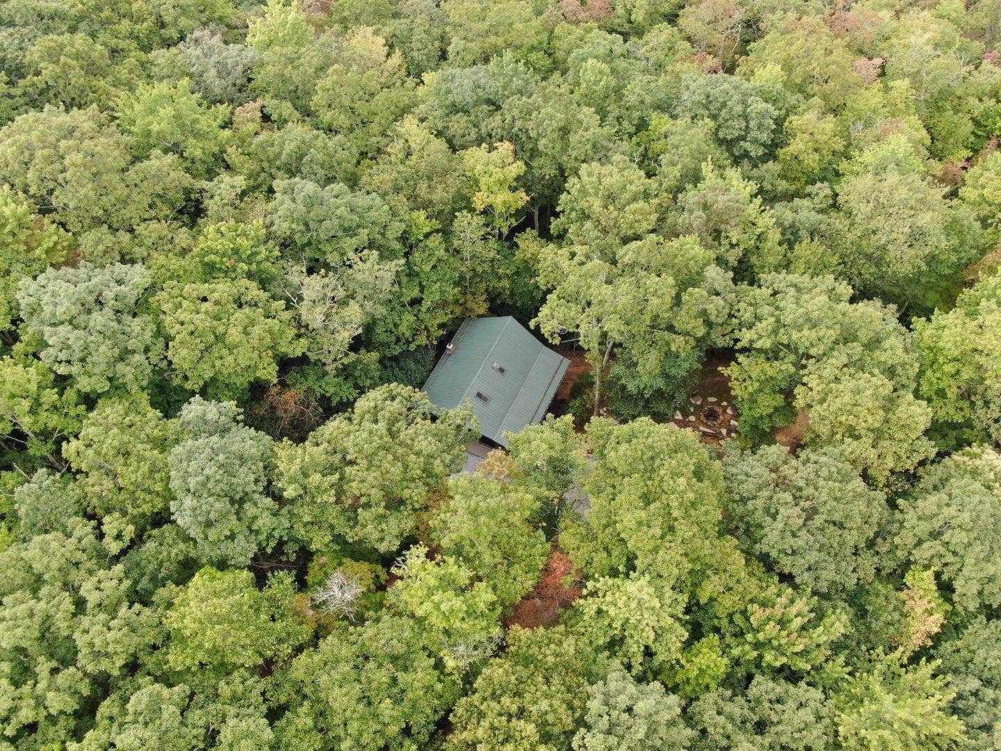An aerial view of a house in the middle of a forest.