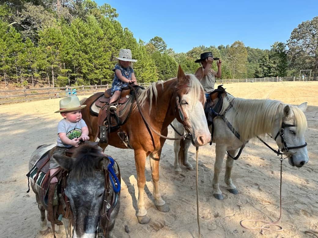 Two people ride horses on a dirt trail through a sunlit forest.
