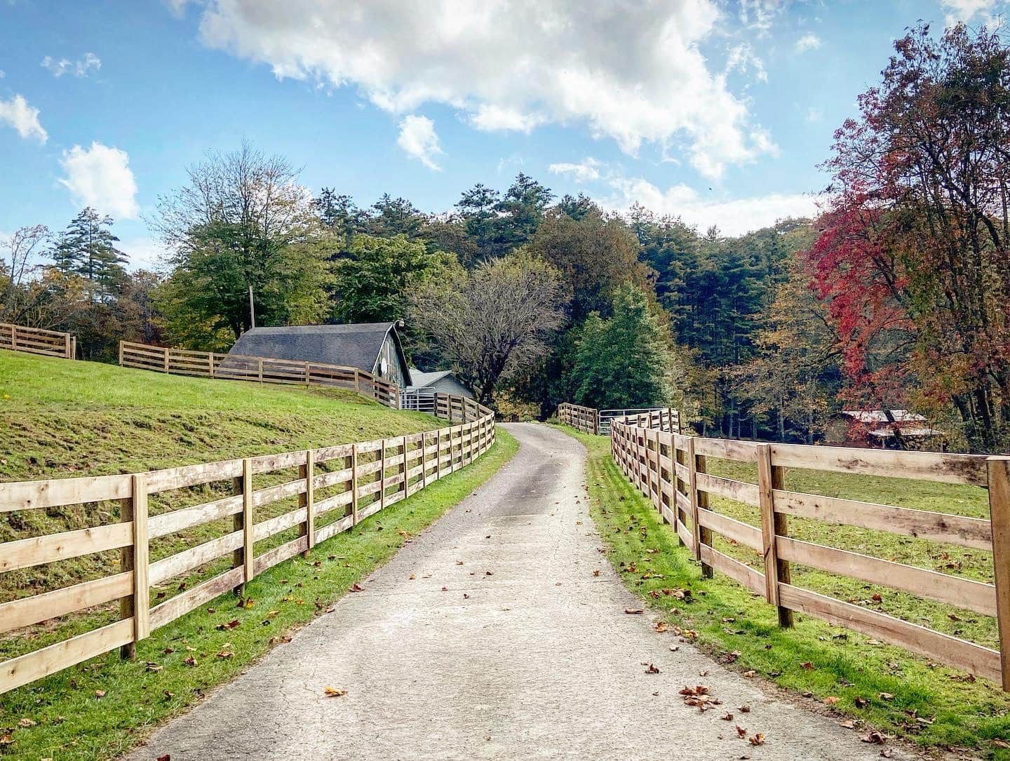 A dirt road with a wooden fence along the side of it.