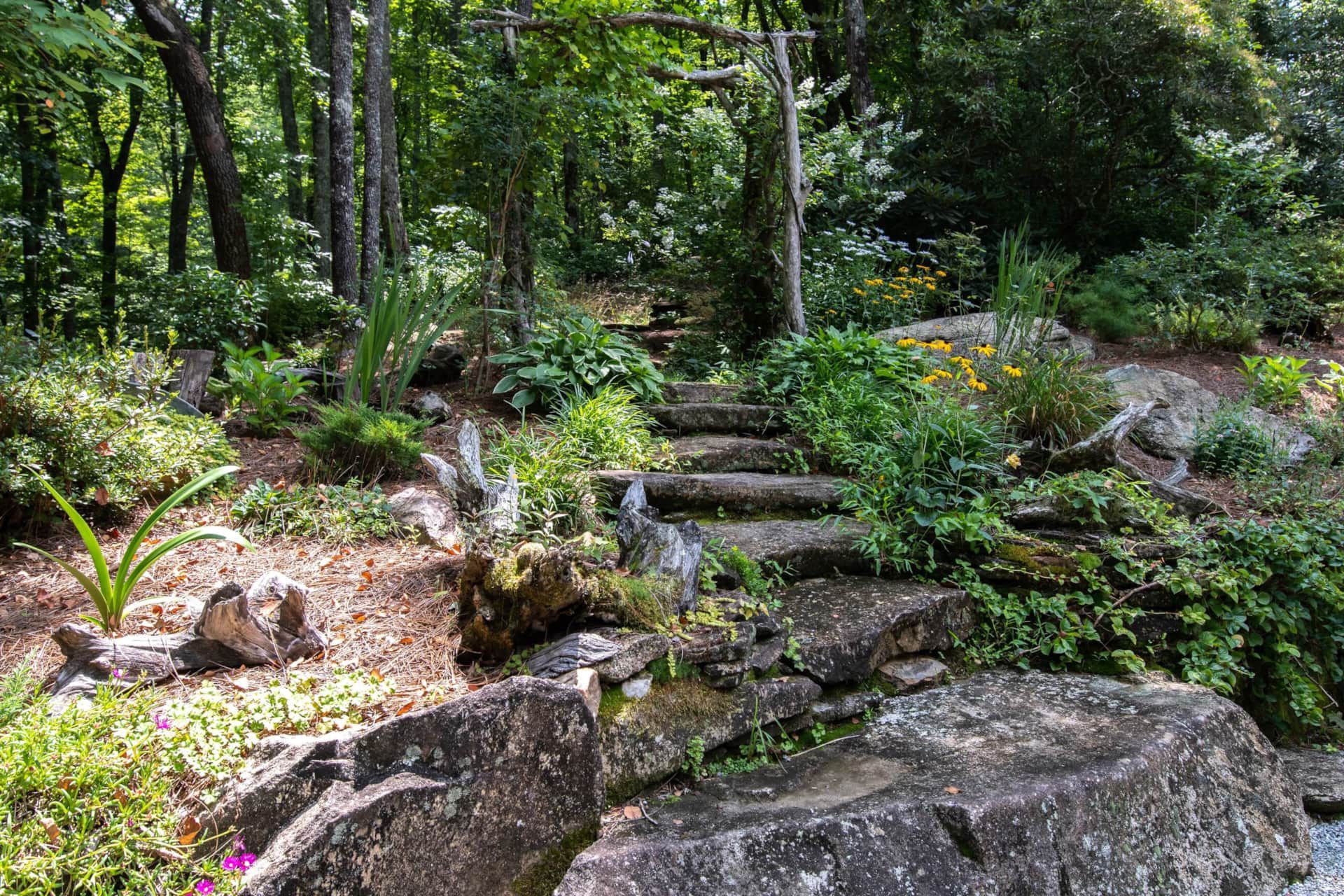 There are stairs leading up to a rocky area in the woods.