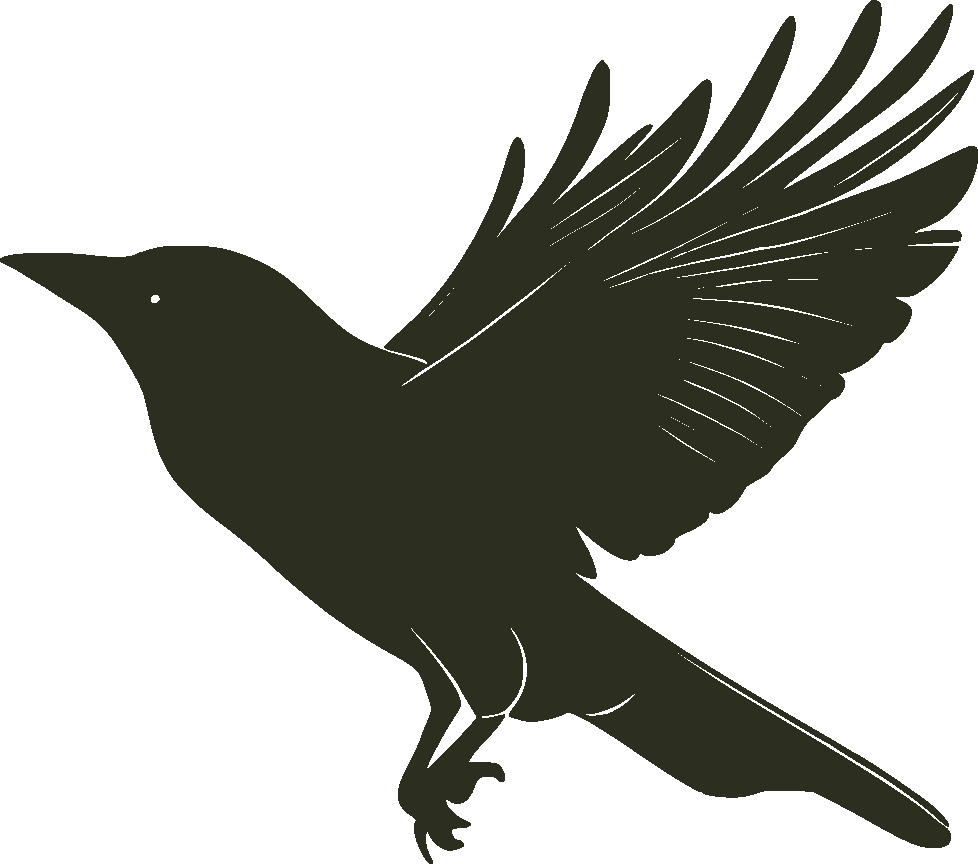 A black bird is flying in the air with its wings spread.