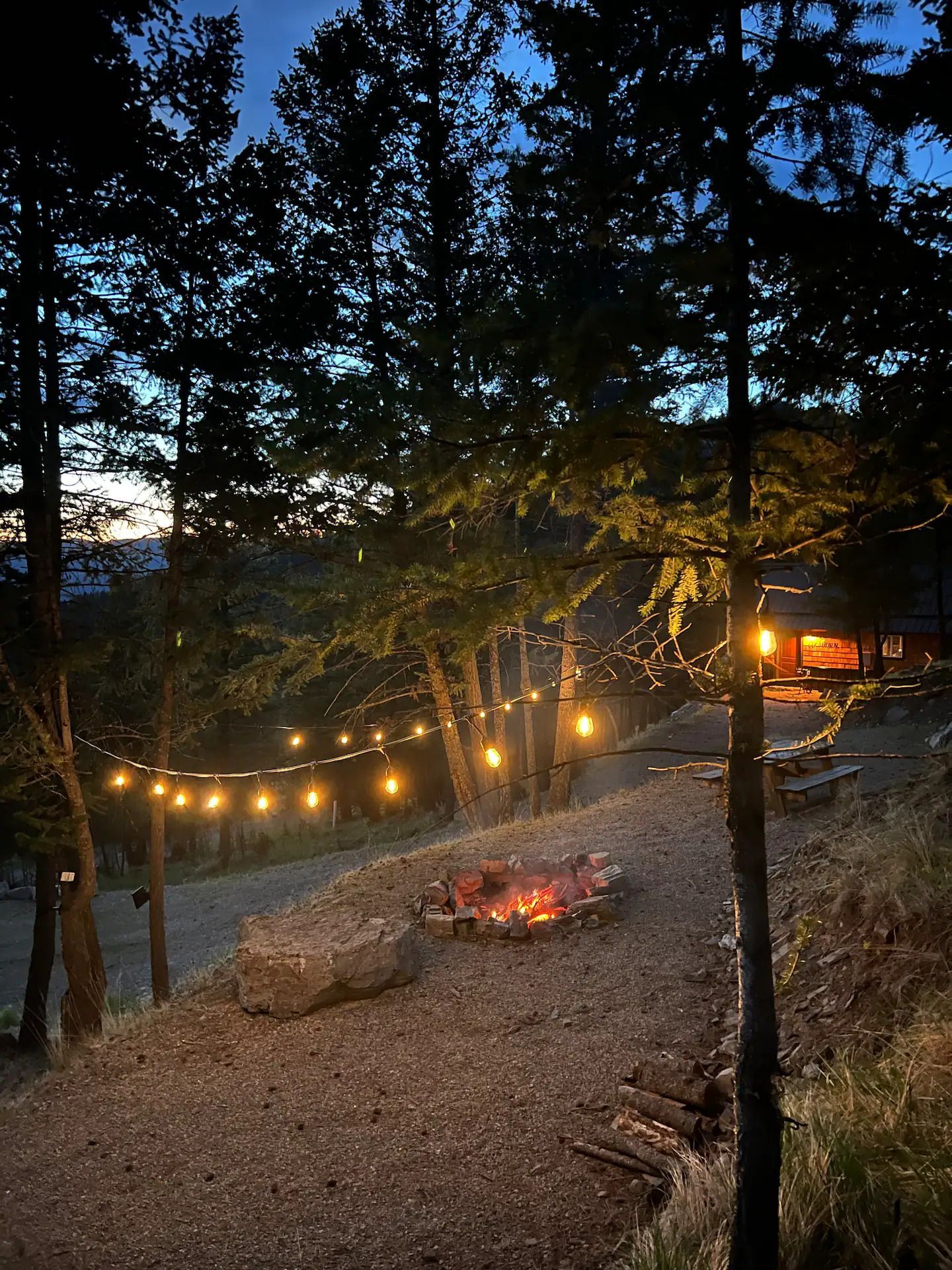 There is a fire pit in the middle of the woods at night.