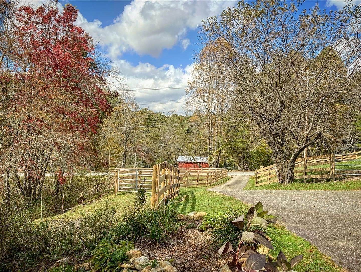 A dirt road going through a wooded area with a red barn in the background.