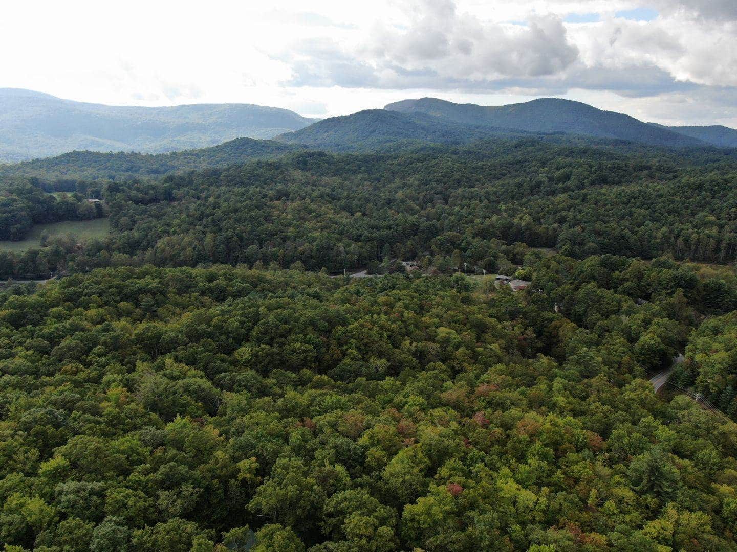 An aerial view of a lush green forest with mountains in the background.